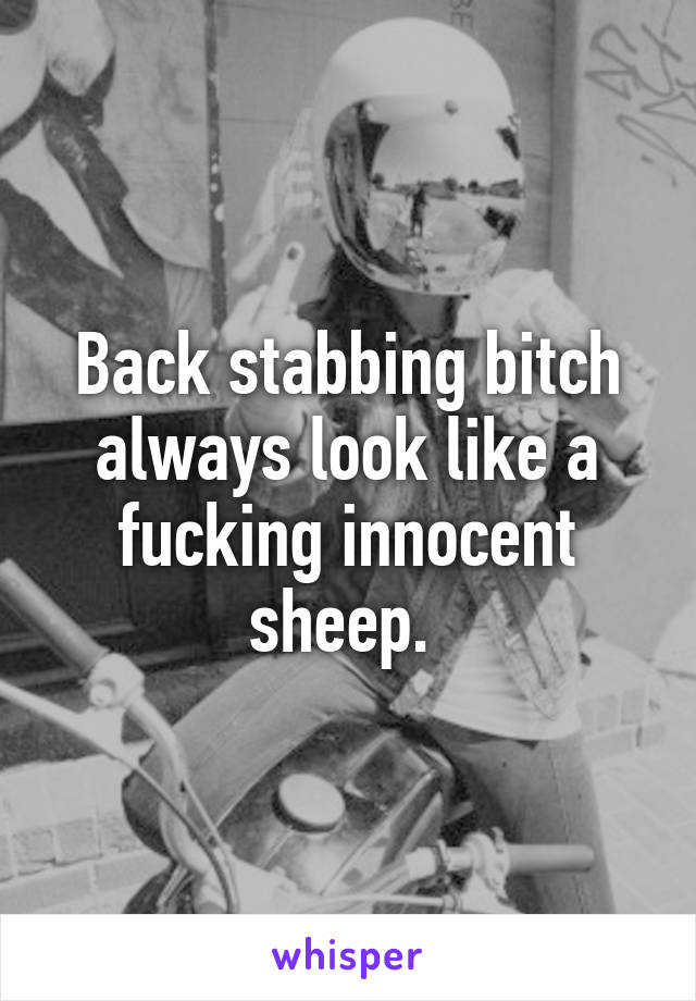 Back stabbing bitch always look like a fucking innocent sheep. 