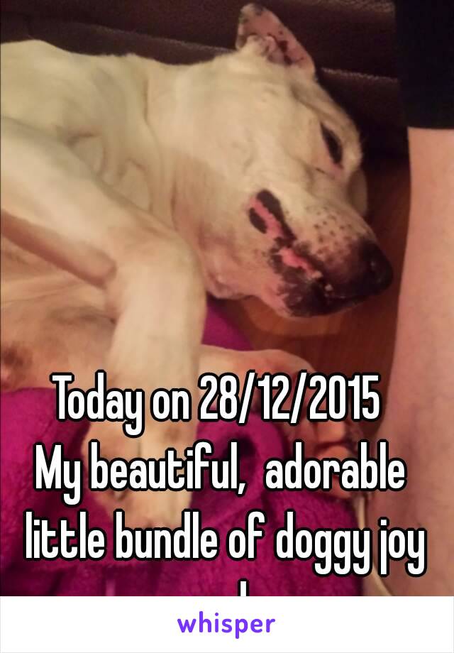 Today on 28/12/2015 
My beautiful,  adorable little bundle of doggy joy passed xxx