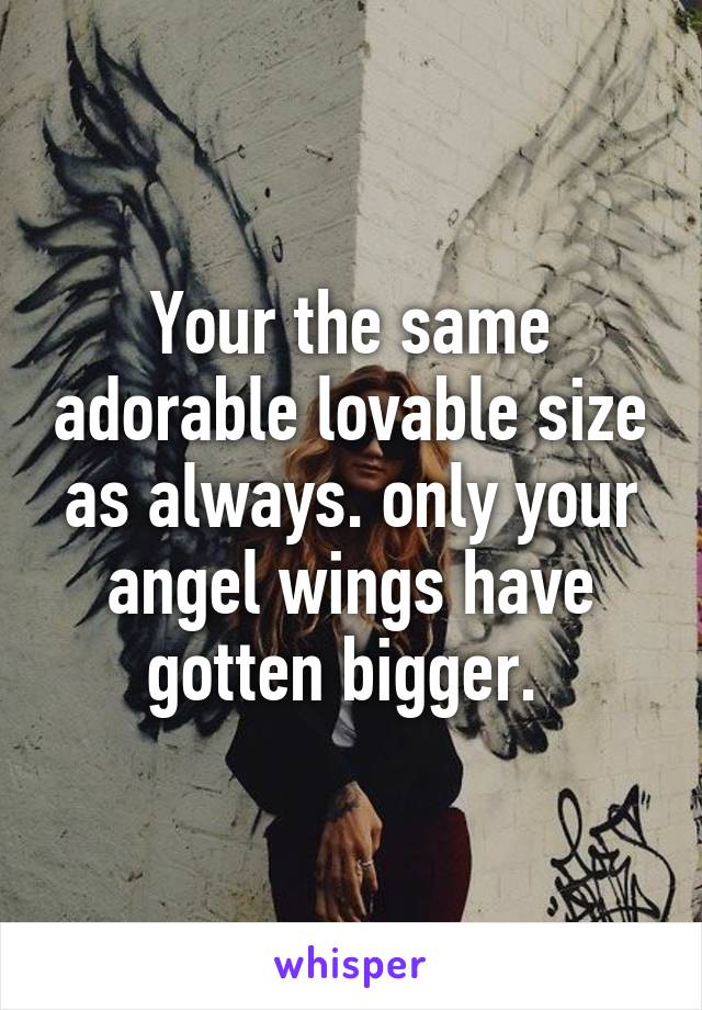 Your the same adorable lovable size as always. only your angel wings have gotten bigger. 