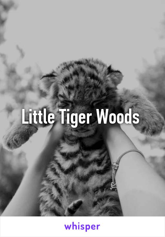 Little Tiger Woods 