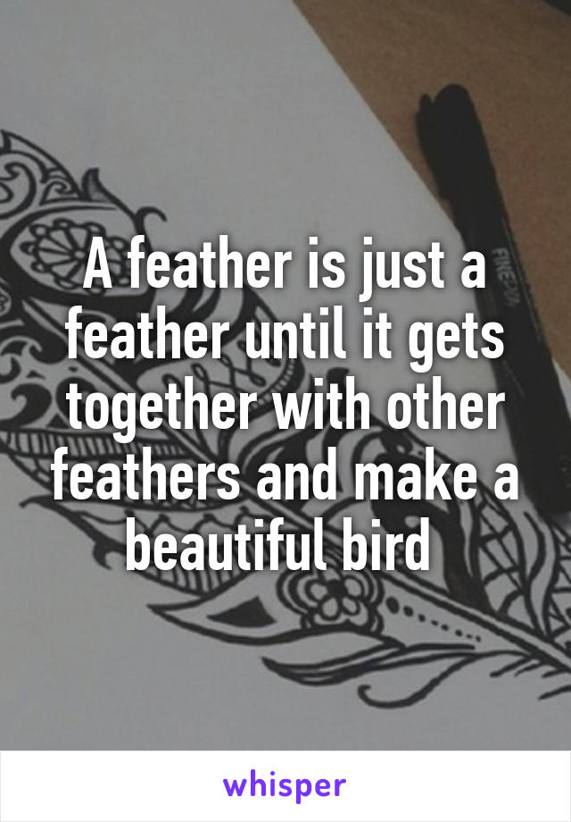 A feather is just a feather until it gets together with other feathers and make a beautiful bird 