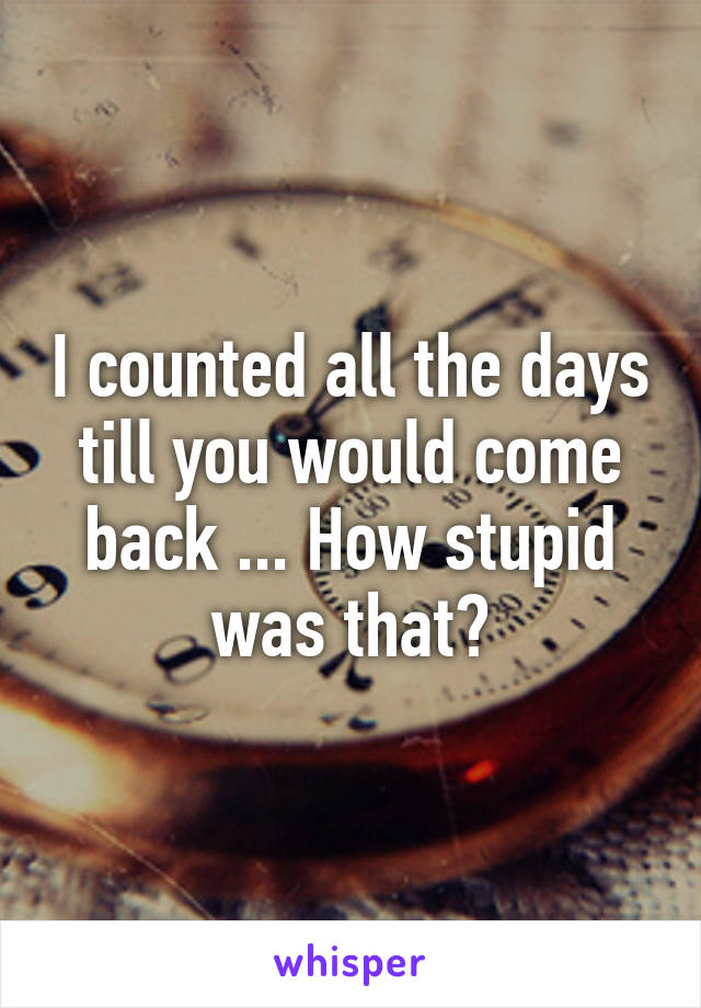 I counted all the days till you would come back ... How stupid was that?