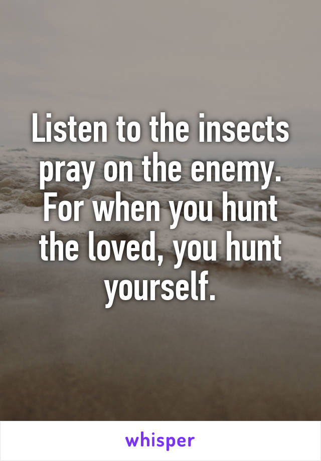 Listen to the insects pray on the enemy.
For when you hunt the loved, you hunt yourself.
