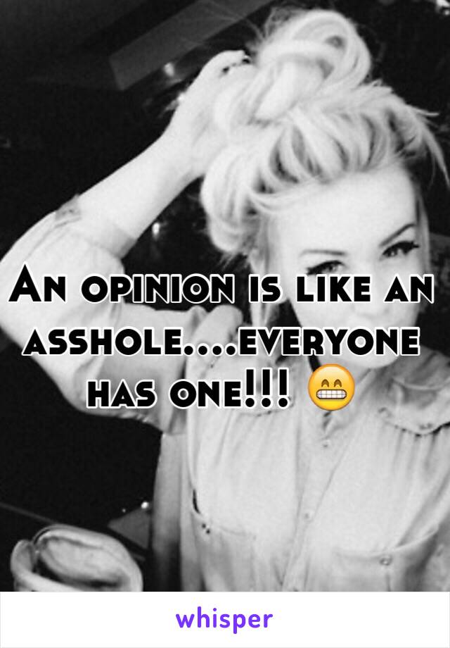 An opinion is like an asshole....everyone has one!!! 😁