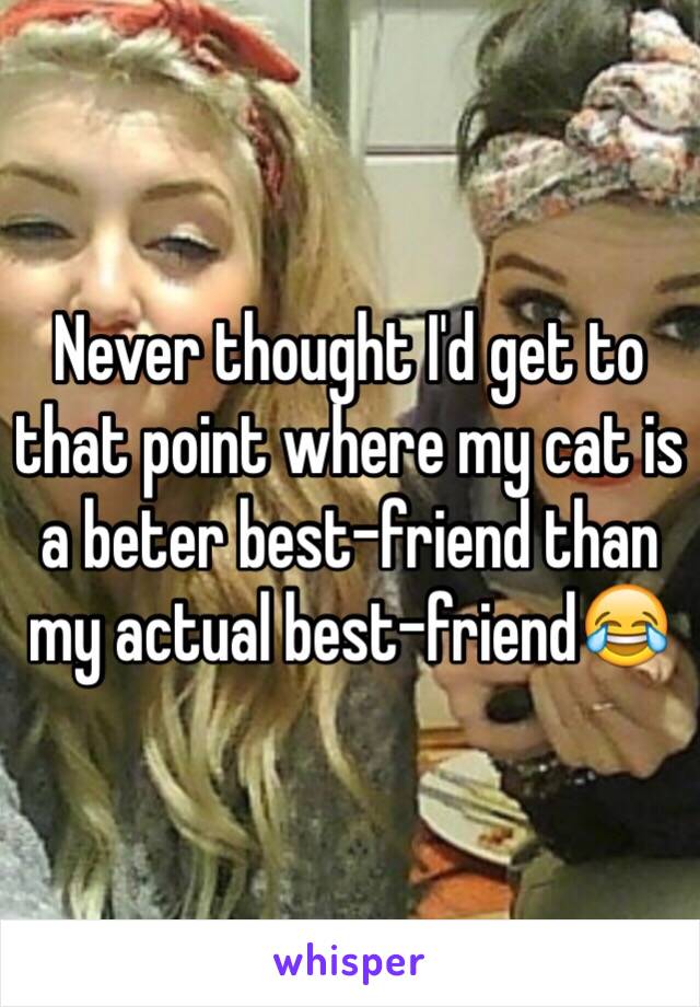 Never thought I'd get to that point where my cat is a beter best-friend than my actual best-friend😂