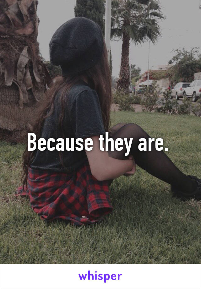 Because they are. 