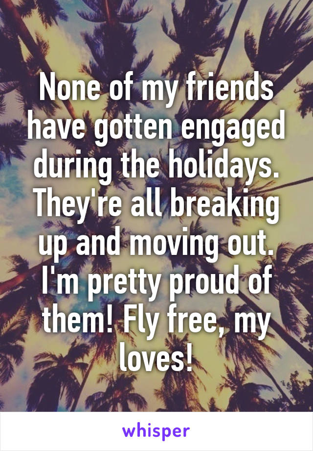 None of my friends have gotten engaged during the holidays. They're all breaking up and moving out. I'm pretty proud of them! Fly free, my loves!