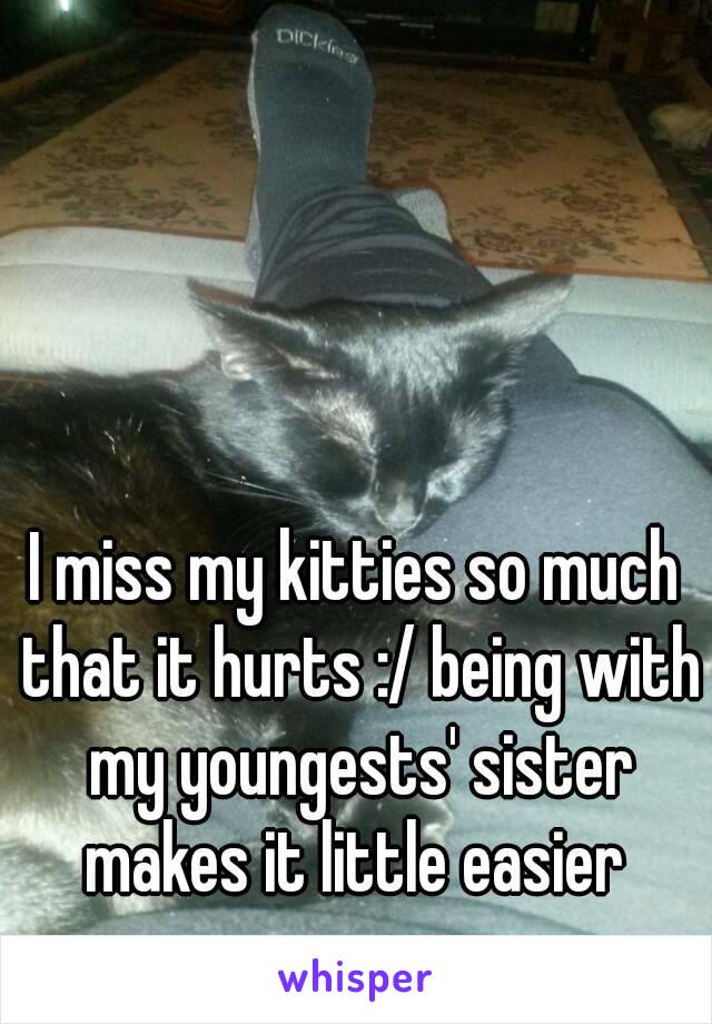 I miss my kitties so much that it hurts :/ being with my youngests' sister makes it little easier 