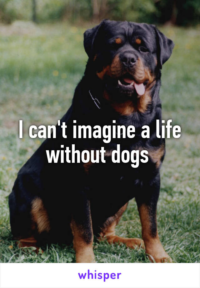 I can't imagine a life without dogs 