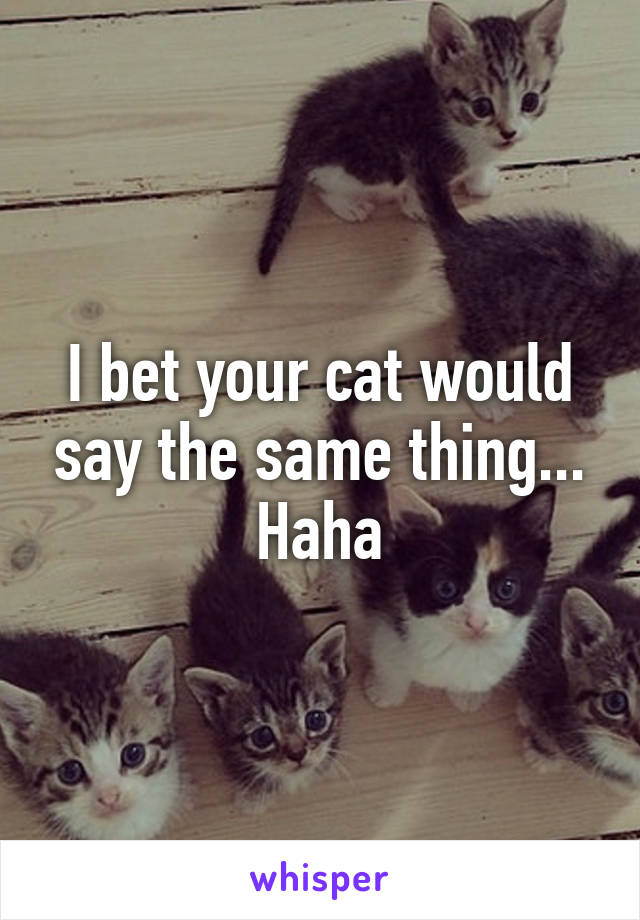 I bet your cat would say the same thing... Haha