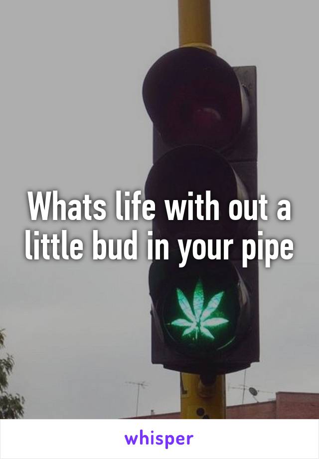 Whats life with out a little bud in your pipe