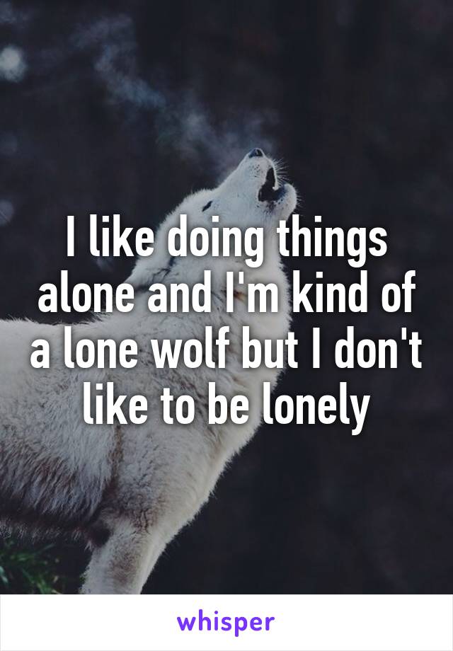 I like doing things alone and I'm kind of a lone wolf but I don't like to be lonely