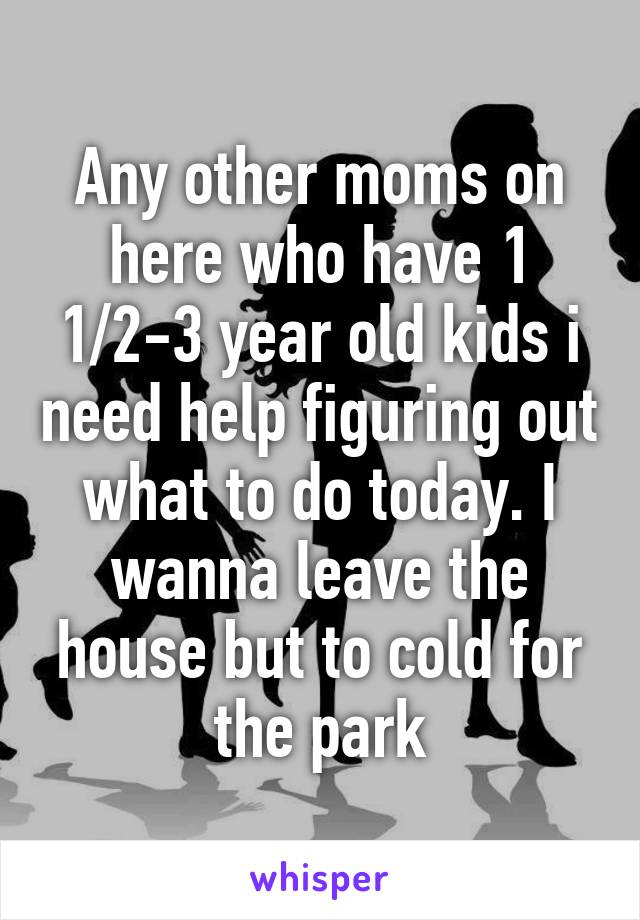 Any other moms on here who have 1 1/2-3 year old kids i need help figuring out what to do today. I wanna leave the house but to cold for the park