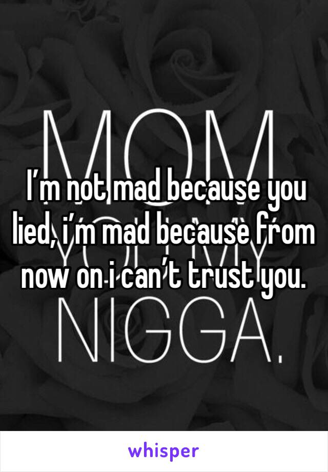  I’m not mad because you lied, i’m mad because from now on i can’t trust you. 