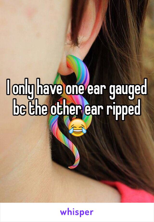 I only have one ear gauged bc the other ear ripped 😂