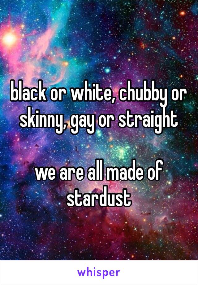 black or white, chubby or skinny, gay or straight

we are all made of stardust