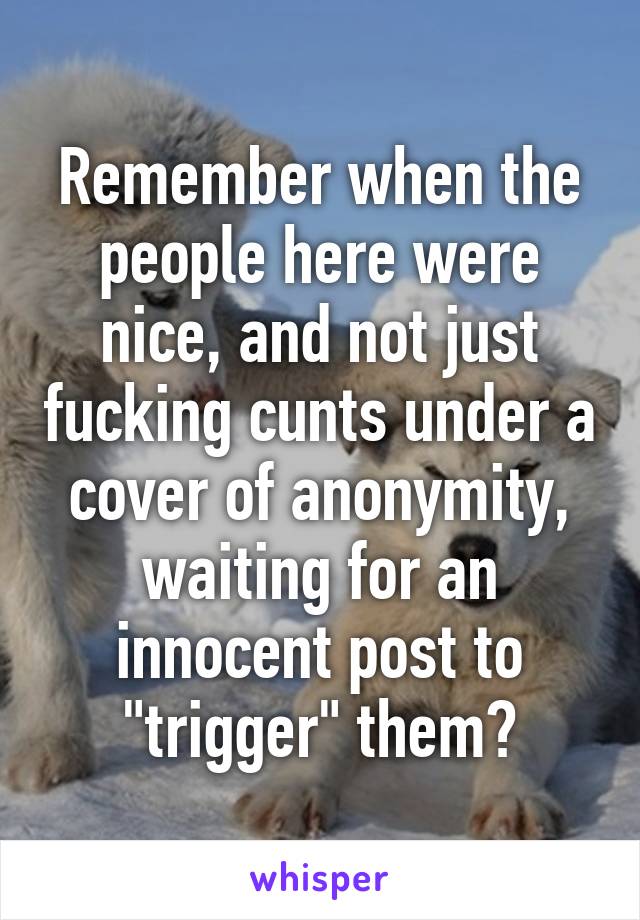 Remember when the people here were nice, and not just fucking cunts under a cover of anonymity, waiting for an innocent post to "trigger" them?