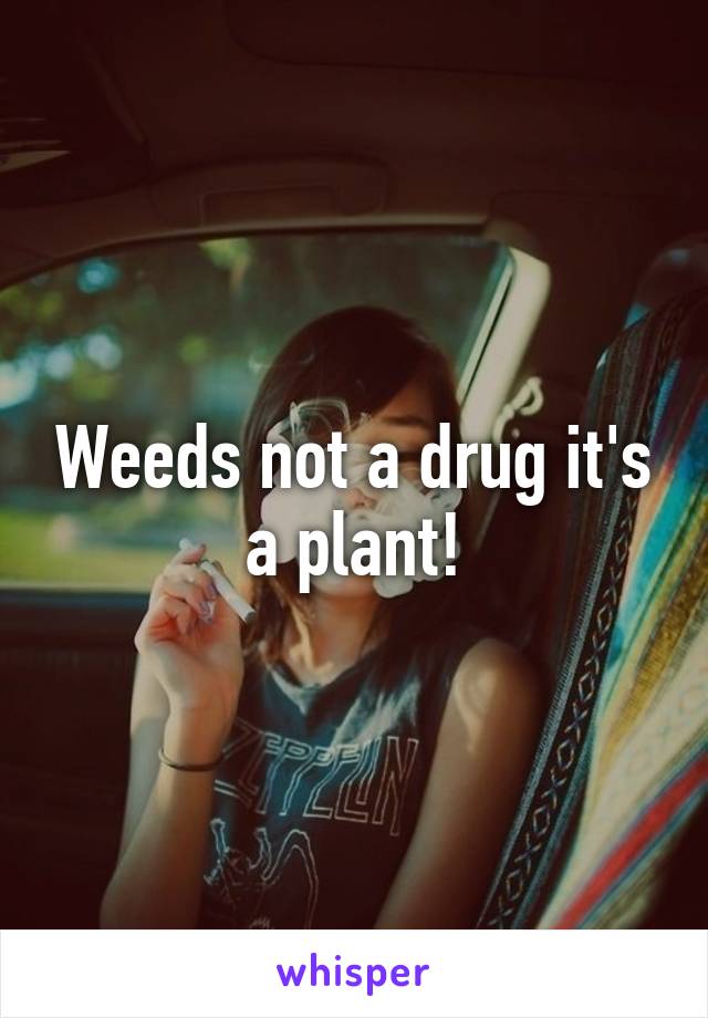 Weeds not a drug it's a plant!