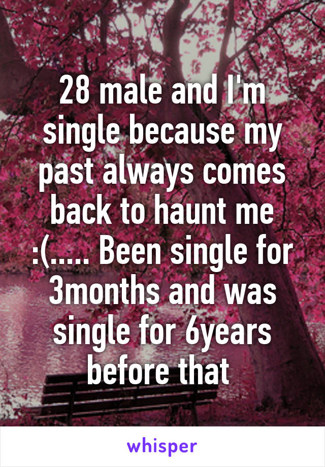 28 male and I'm single because my past always comes back to haunt me :(..... Been single for 3months and was single for 6years before that 