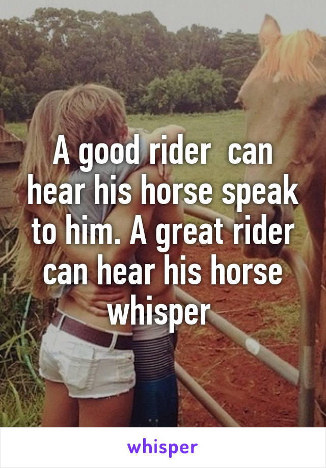 A good rider  can hear his horse speak to him. A great rider can hear his horse whisper 