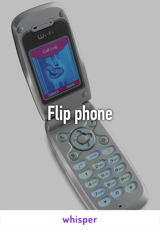 Flip phone