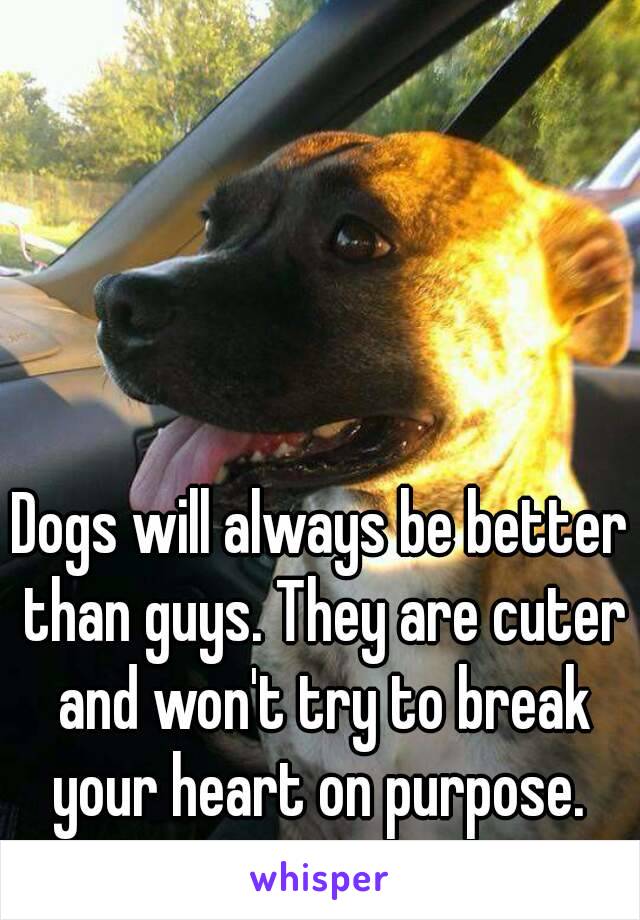 Dogs will always be better than guys. They are cuter and won't try to break your heart on purpose. 