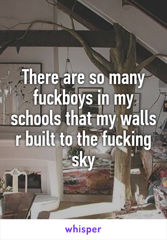 There are so many fuckboys in my schools that my walls r built to the fucking sky