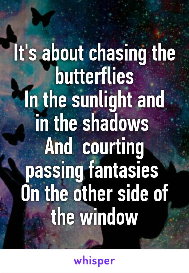 It's about chasing the butterflies
In the sunlight and in the shadows 
And  courting passing fantasies 
On the other side of the window