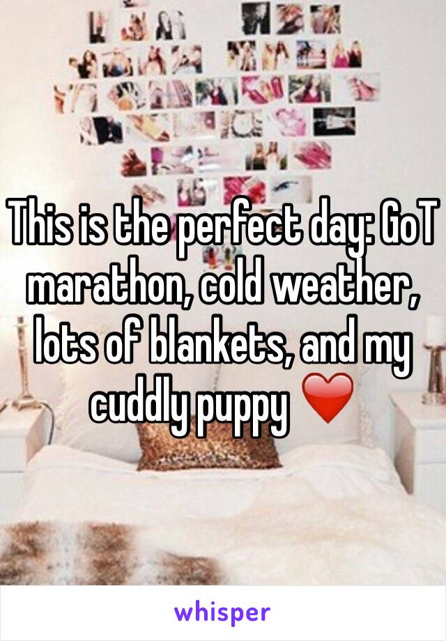 This is the perfect day: GoT marathon, cold weather, lots of blankets, and my cuddly puppy ❤️