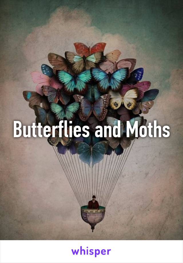 Butterflies and Moths