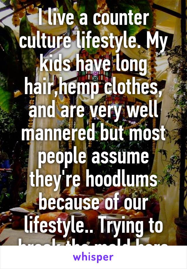 I live a counter culture lifestyle. My kids have long hair,hemp clothes, and are very well mannered but most people assume they're hoodlums because of our lifestyle.. Trying to break the mold here