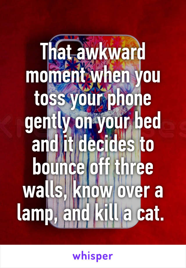 That awkward moment when you toss your phone gently on your bed and it decides to bounce off three walls, know over a lamp, and kill a cat. 