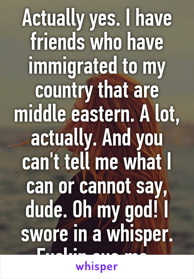 Actually yes. I have friends who have immigrated to my country that are middle eastern. A lot, actually. And you can't tell me what I can or cannot say, dude. Oh my god! I swore in a whisper. Fuckin sue me. 