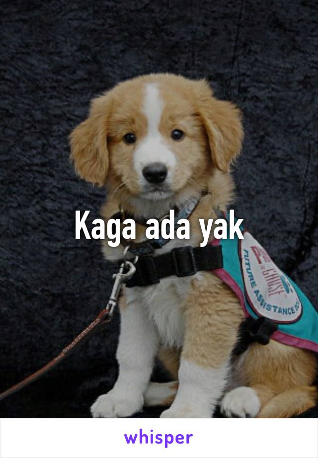 Kaga ada yak