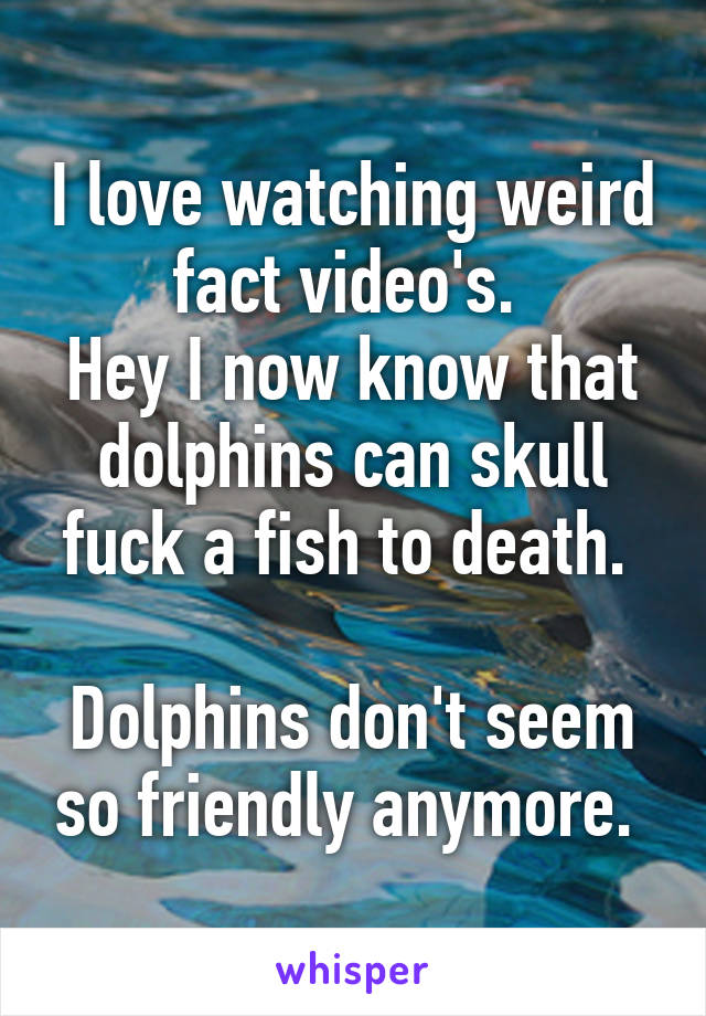 I love watching weird fact video's. 
Hey I now know that dolphins can skull fuck a fish to death. 

Dolphins don't seem so friendly anymore. 