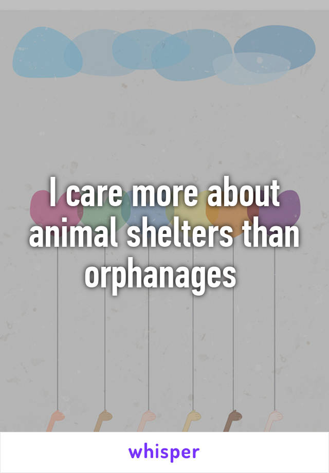 I care more about animal shelters than orphanages 