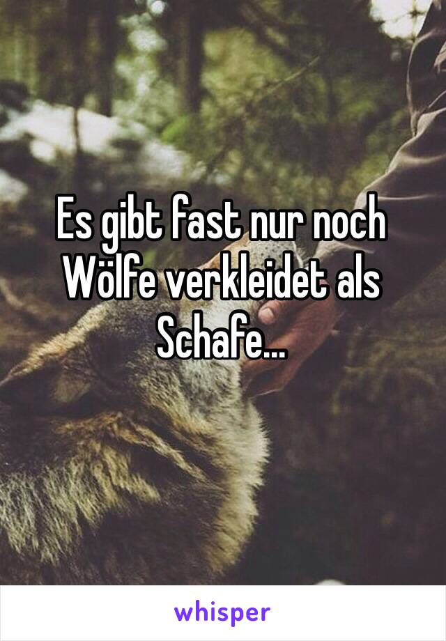 Es gibt fast nur noch Wölfe verkleidet als Schafe...