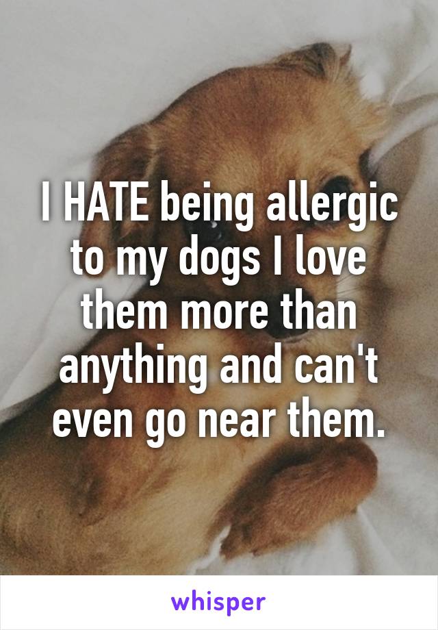 I HATE being allergic to my dogs I love them more than anything and can't even go near them.