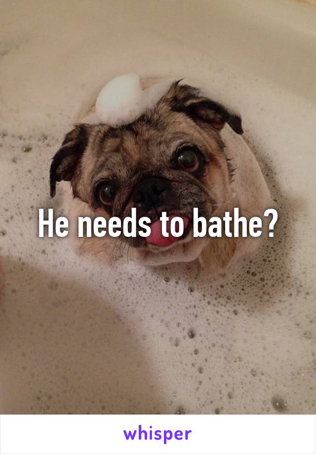 He needs to bathe?