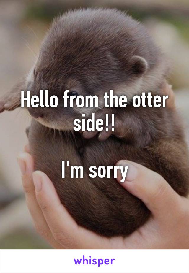 Hello from the otter side!!

I'm sorry