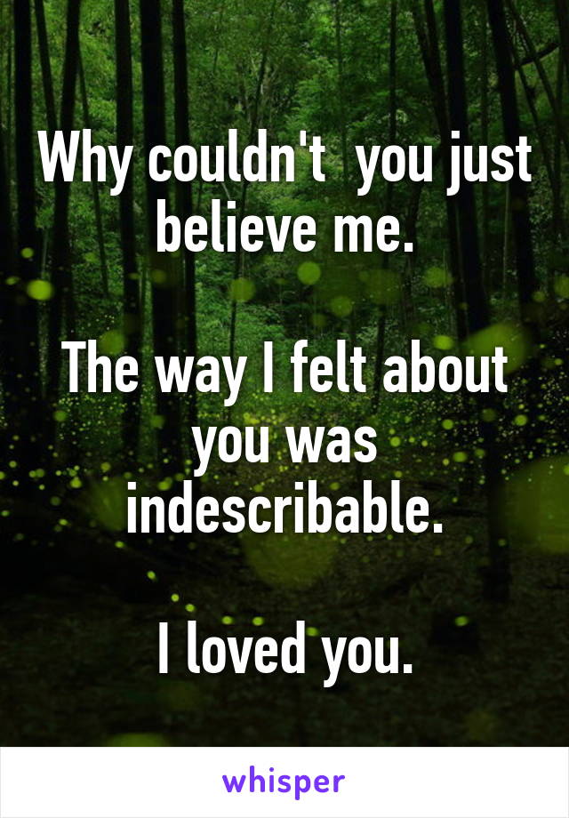 Why couldn't  you just believe me.

The way I felt about you was indescribable.

I loved you.