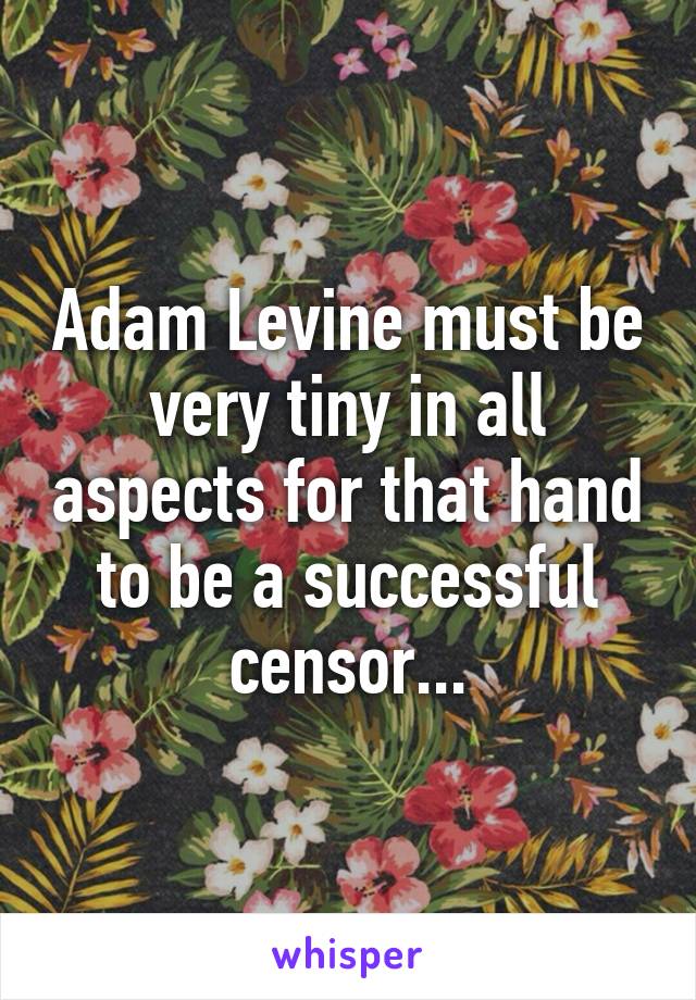 Adam Levine must be very tiny in all aspects for that hand to be a successful censor...