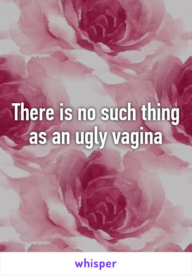 There is no such thing as an ugly vagina
