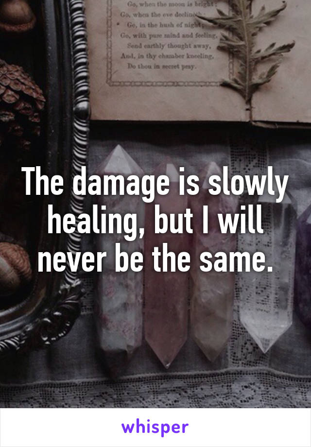 The damage is slowly healing, but I will never be the same.