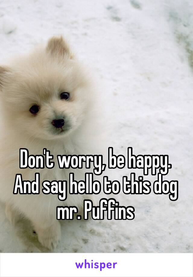 Don't worry, be happy. 
And say hello to this dog mr. Puffins