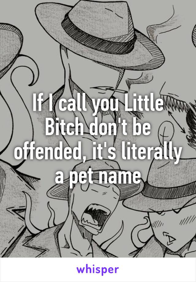 If I call you Little Bitch don't be offended, it's literally a pet name