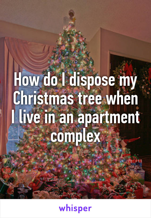 How do I dispose my Christmas tree when I live in an apartment complex