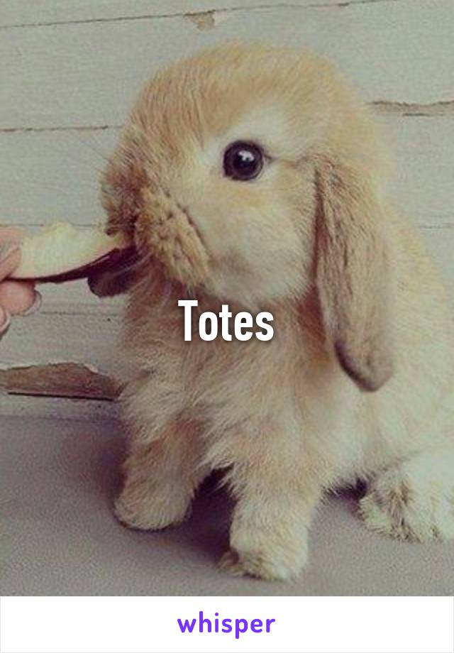 Totes