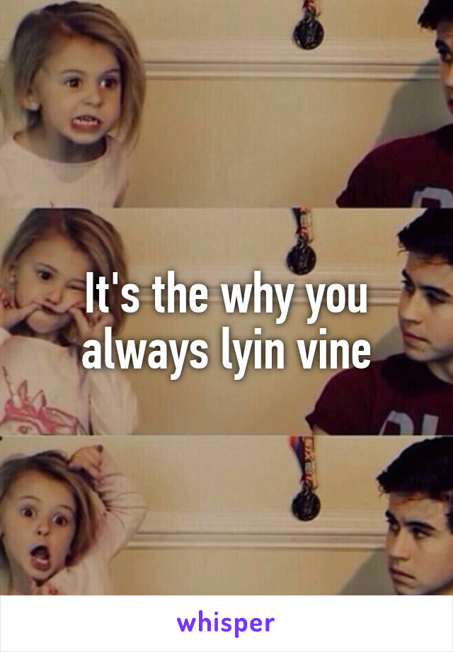 It's the why you always lyin vine