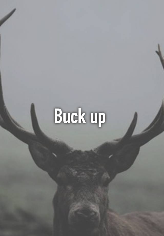 buck-up